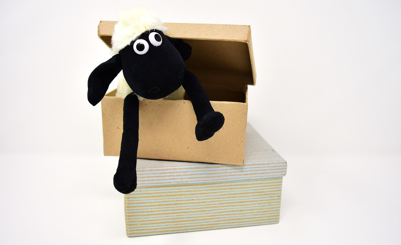 Turn Cardboard Boxes Into a Kid-Sized City (That Survives the Week)